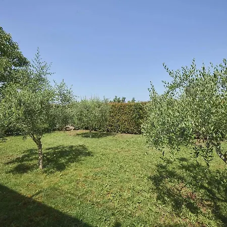 Villa Monte *
